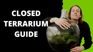 How To Make And Care For A Closed Terrarium