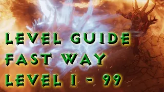 Fast Level Guide 1-99 - Diablo 2 Resurrected / B.net