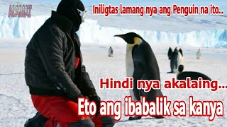 Taon-taon dinadalaw sya ng Penguin