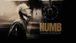 Linkin Park - Numb - Acoustic Version/ Remix
