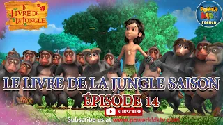 Le livre de la jungle | Saison 1 | Épisode 14 - Super Darzi | Épisode complet |