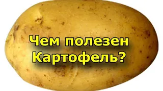 Картофель - состав - польза и вред?