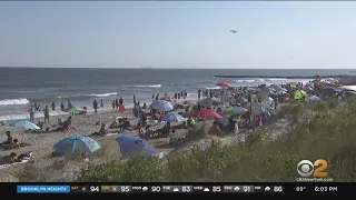 Shark sighting forces beachgoers out of water at Rockaway Beach