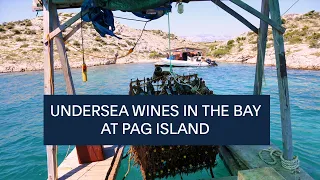 ESCAPE TO CROATIA: Undersea Wines in the Bay at Pag Island