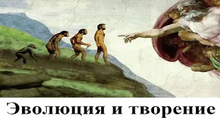 Эволюция и творение