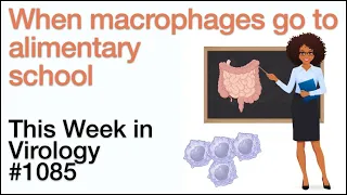 TWiV 1085: When macrophages go to alimentary school