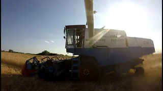 Fortschritt E 512 Harvest 2023 Part 2 (My girlfriend is driving)