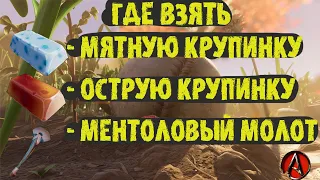 где найти мятную и острую крупинку, а также ментоловый молот в grounded 2021 от antish