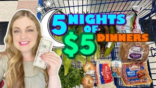 Budget Meal Plan-5 Nights of $5 Dinners Tasty Meals! $25 Total for 2 Adults & 1 Small Child