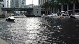 Miami River was Fire ! Alfred Montaner Livestream (Chit Show !)