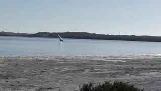 Windsurfing Lake George SA - Sam smooth water