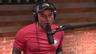 Rogan   Anderson Silva Loves Steven Seagal