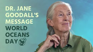 Dr. Jane Goodall's Message for World Oceans Day 2022