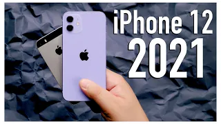 Apple iPhone 12. Стоит ли покупать Айфон 12 ? iPhone 12 vs iPhone 11