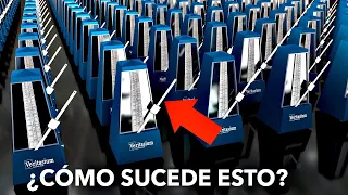 El Secreto de la Sincronización | Veritasium en español