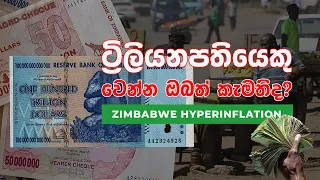 Zimbabwe & Hyperinflation: Who wants to be a Trillionaire?