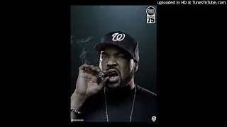 IceCube-it takes a nation of niggaz to hold us back-remix by beastbeats