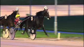 GRAND PRIX DE L' U.E.T. 2015 BOLD EAGLE - F. NIVARD Victoria Park Wolvega 18-10-2015