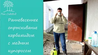 весенняя обработка сада медным купоросом с карбамидом