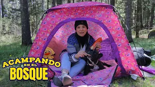 ACAMPANDO EN UN BOSQUE MISTERIOSO | AnaNANA TOYS