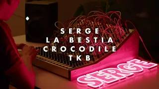 Teo Hoffmann - Serge La Bestia | Crocodile | TKB