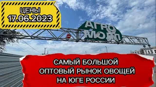 ‼️ ЦЕНЫ ‼️ НА САМОМ БОЛЬШОМ ОПТОВОМ РЫНКЕ ОВОЩЕЙ ЮГА РОССИИ‼️М-4 РОСТОВ НА ДОНУ