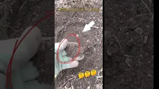 Знахідка від товариша Пошуківця #артефакти #metaldetecting #історія #металошукач #пошук #coin