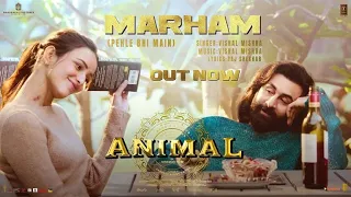 ANIMAL Mashup Nonstop - Jukebox | Extended | Jay Guldekar | Satranga | Pehle Bhi Mein-lofi song