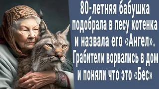 80-летняя бабушка подобрала котенка и назвала АНГЕЛ. Грабители ворвались в дом и пожалели