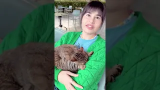 Vacation vlog : Diana Ankudinova and cats