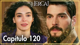 Hercai - Capítulo 120