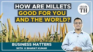 Business Matters | Why did UN declare 2023 as International Year of Millets?| The Hindu