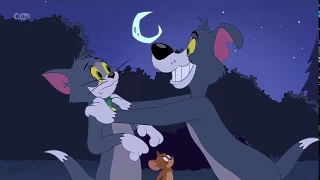Tom i Jerry Show -Ciocia społeczn-Całkiem nowe przygody Toma i Jerry’ego