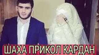 🤣🤣 ШАХА ДАР ХОНАИ АРУС ПРИКОЛ КАРДАН