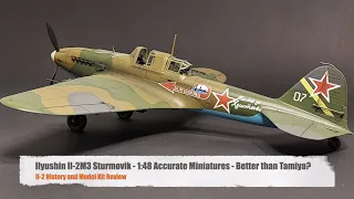 Il-2 Sturmovik - 1:48 Accurate Miniatures - Best Il-2 Model?