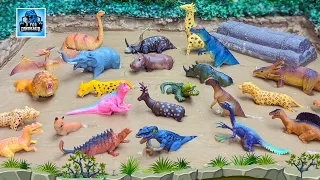 African Animals and Prehistoric Dinosaurs Stuck in the Sandbox Muddy Adventure