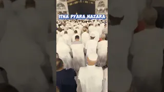 Pyara nazara | Bearish in Madina | Dunya ki sabse lucky larki | Makkah #mecca