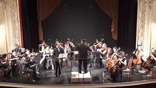 Schindler's List | John Williams | Indo - European Youth Orchestra | Danube Palace | Budapest