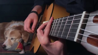 The Last Of Us Fingerstyle Guitar Main Theme