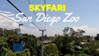 San Diego Zoo Skyfari Aerial Tram Ride 2022 | Full Tour