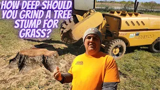 "How Deep Should You Grind a Tree Stump? Expert Tips and Techniques!"