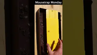 The Amazing Wasper Blaster Yellow Jacket Trap