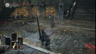 Some hitbox porn from Dark Souls 3