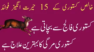 16 Amazing Benefits Of Pure Deer Musk | Kasturi K Fayde In Urdu Hindi | کستوری کے فوائد اور استعمال