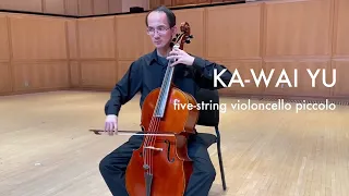 "Five" for five-string Baroque cello, by Luke Dahn