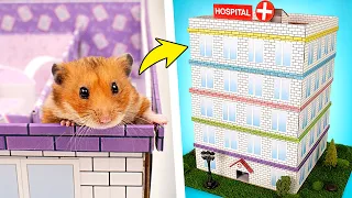 Un laberinto - hospital de 5 niveles para el hámster🐹🏥❤️