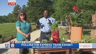 Kenny learns about thrillers, fillers and spillers at Holden Arboretum