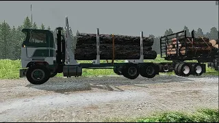 transporting logs in BeamNG drive