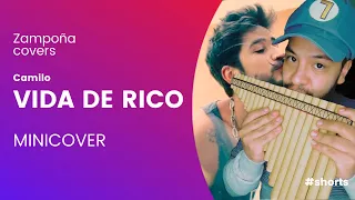 Vida de Rico cover zampoña