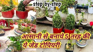 Making 5 types of Topiyari of Jade plant||Step-by-Step process|| Jade plant care